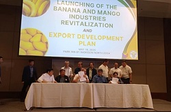 Launching of the Banana and Mango Industry Revitalization and Export Development Plan.