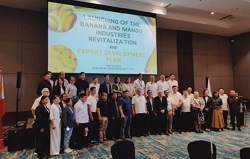 Launching of the Banana and Mango Industry Revitalization and Export Development Plan.